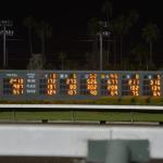 LosAl_Race_0153 (July 26, 2015)